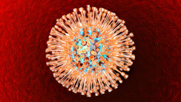 hsv herpes virus