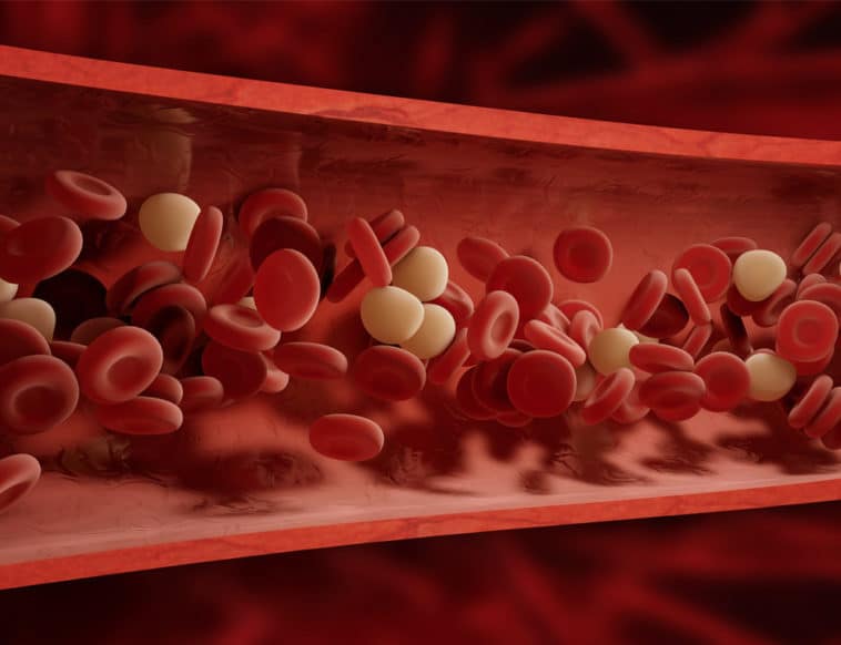 10 Things You Need to Know About Blood Clots | Page 3 of 10 | Health Citrus