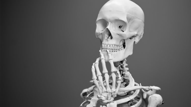 black and white skeleton
